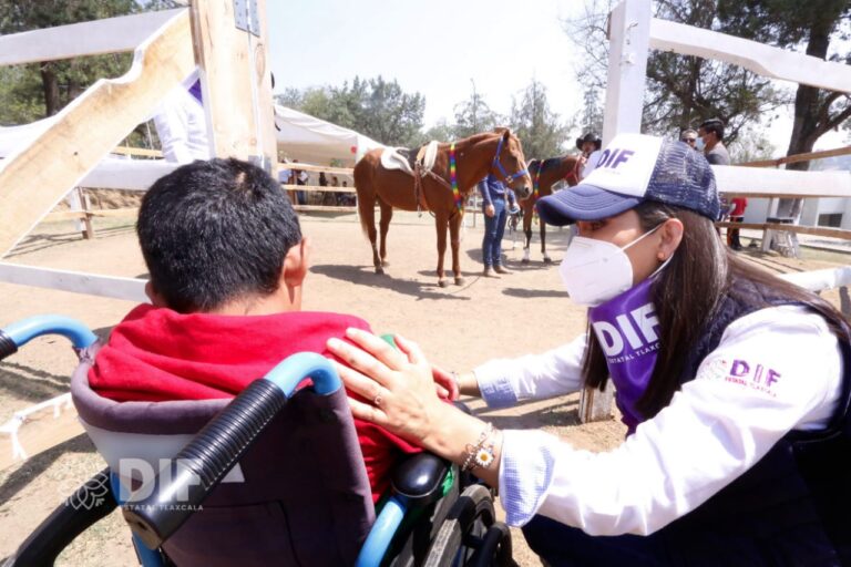 Sedif integrará equinoterapia a sus servicios de rehabilitación