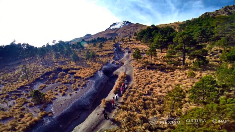 Arrancaron en Tlaxcala las brigadas para la protección ambiental 