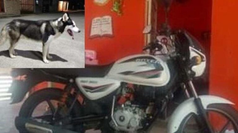 Un joven ofrece una moto de recompensa por recuperar a su perro