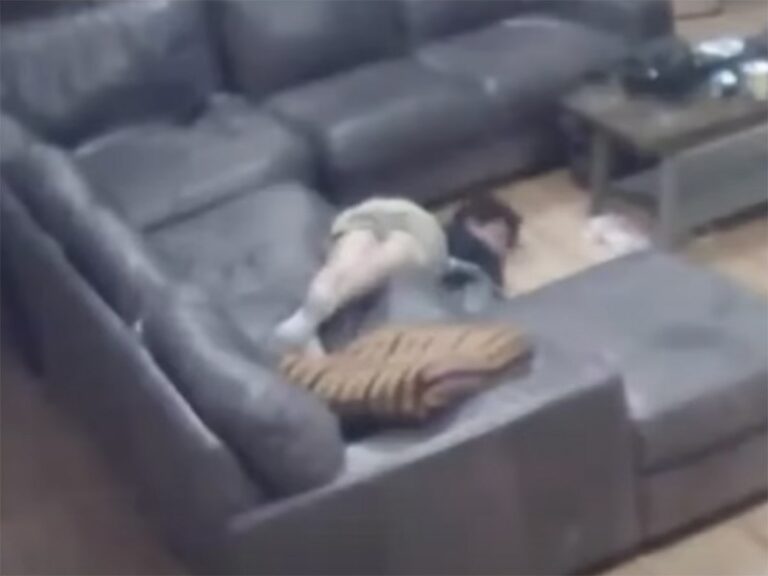 Un joven asistió a novatada y salió con daño cerebral permanente