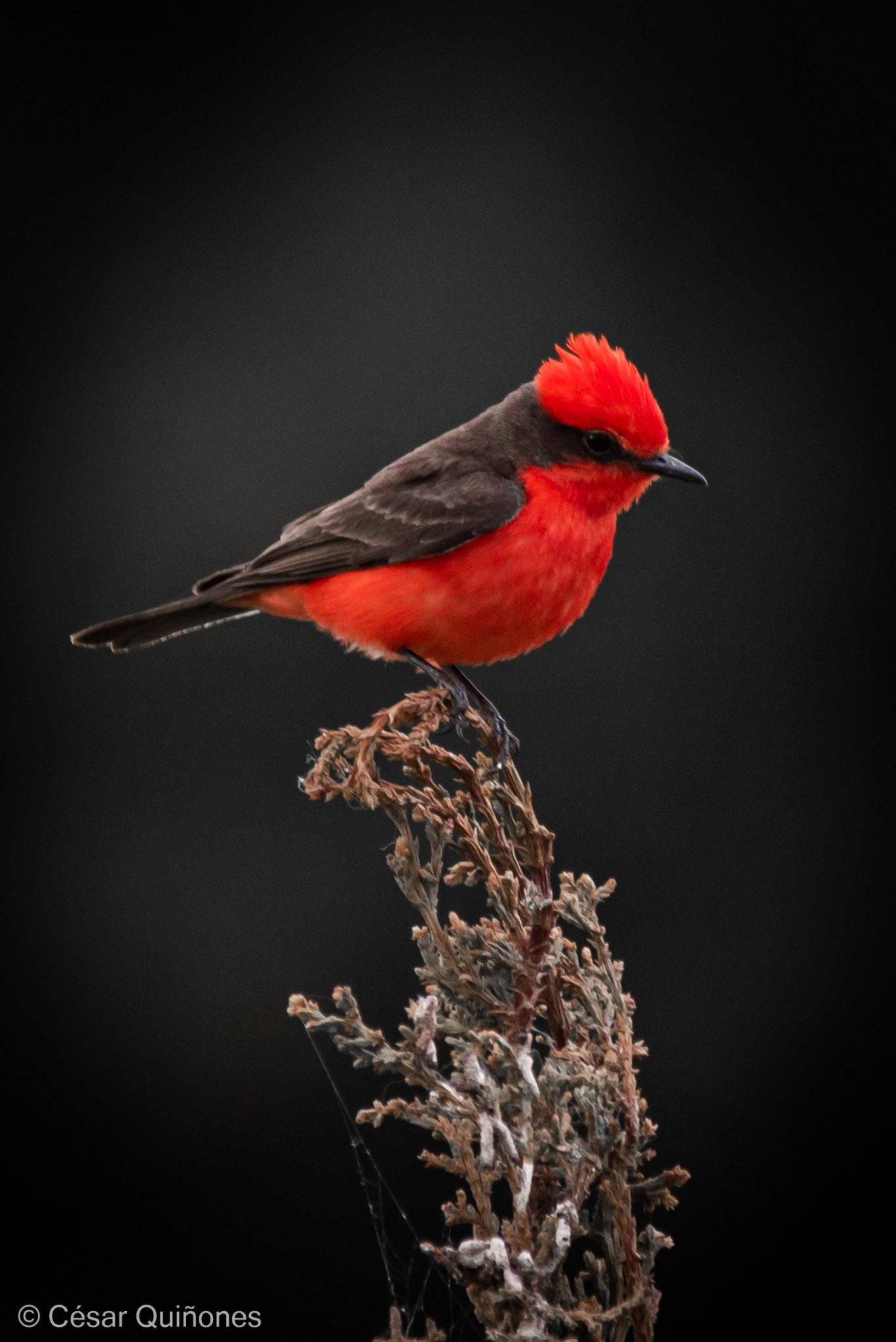 285699973_557474739102939_4543139389323370036_n