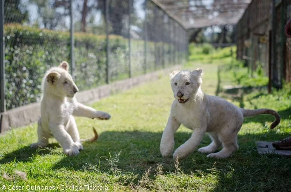 288923999_559798075537272_6164337501032748972_n (1)