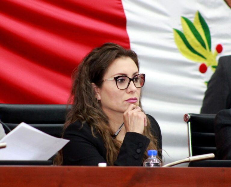 «JCCP analizará efectos de la resolución del TEPJF»: Reyna Báez Lozano