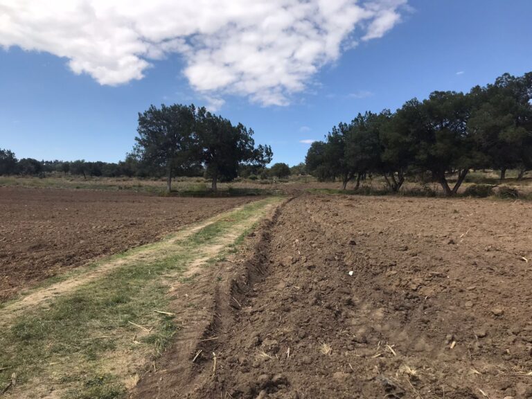 Procuraduría de Tlaxcala Investiga Identidad de una Osamenta