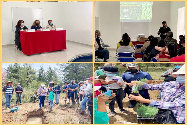 Impulsa UATx Restauración de Ecosistemas Forestales