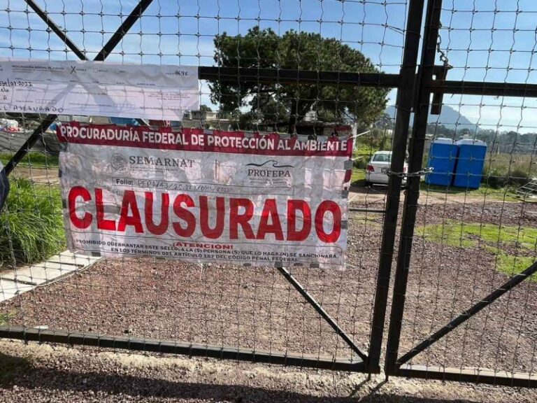 Alistan traslado de 19 felinos rescatados a zoológicos de Puebla