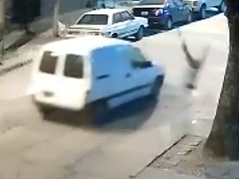 Video: Persigue y atropella al ladrón que asaltó a su mamá