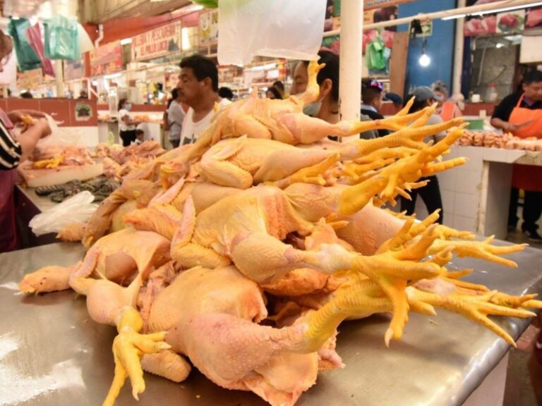 Pollería en mercado de CDMX ofrece curso de verano y se hace viral