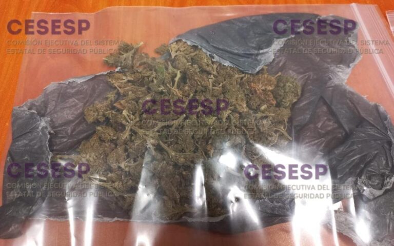 En Apetatitlán, SSC Detuvo a Presunto Narcomenudista