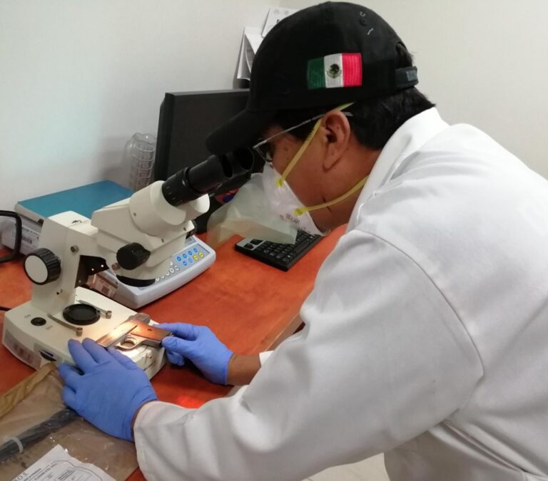 FGR Tlaxcala obtiene prisión preventiva contra una persona por portar arma de fuego