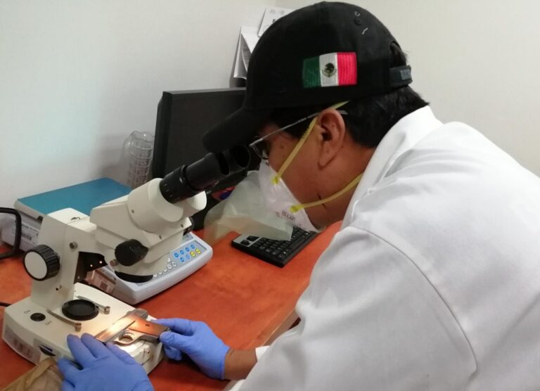 FGR Obtiene prisión preventiva contra una persona por portación de armas de fuego