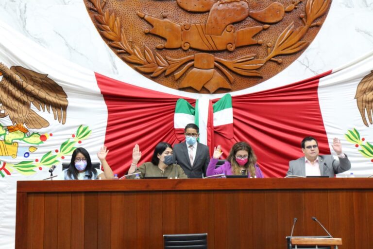 Aprueba Permanente elección del Comité de Participación Ciudadana del SIET 