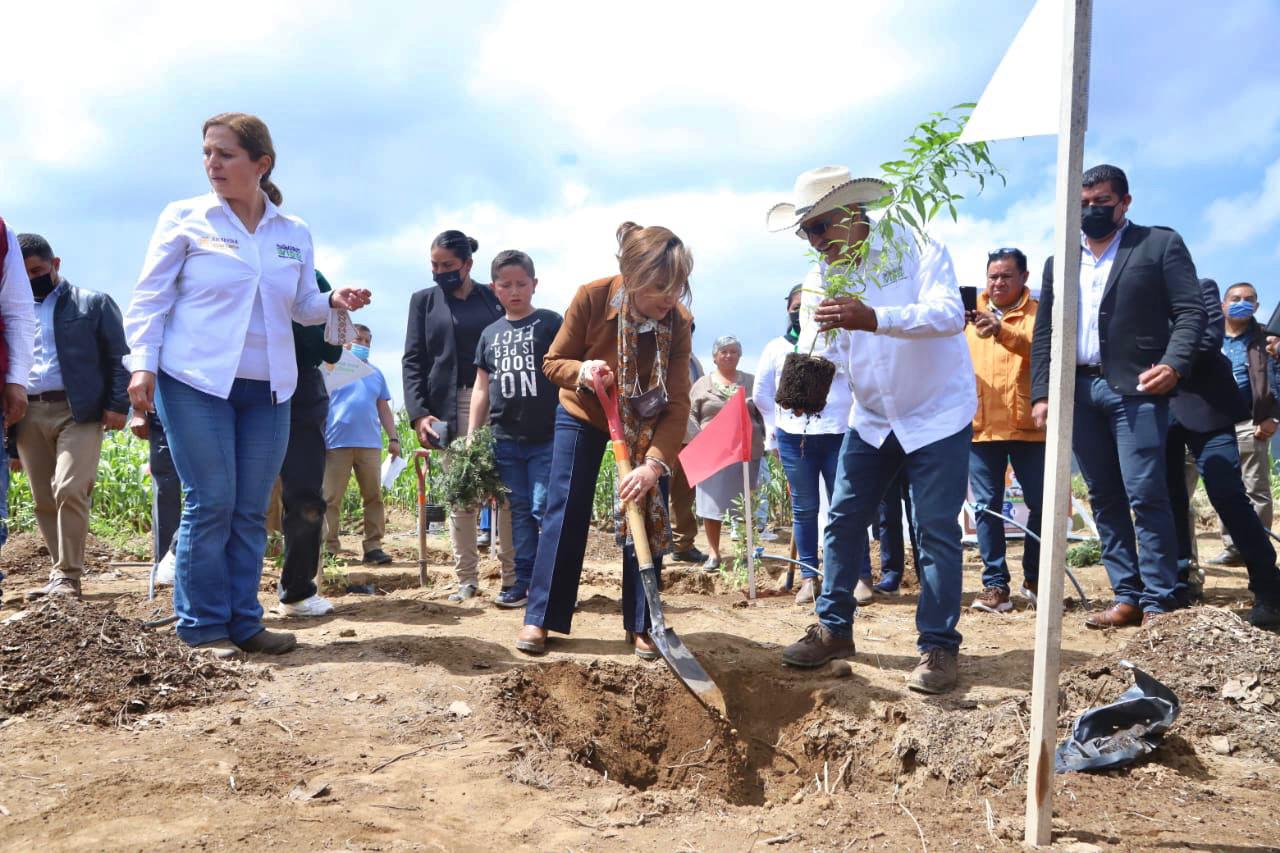 WhatsApp Image 2022-07-11 at 4.49.44 PM (1)