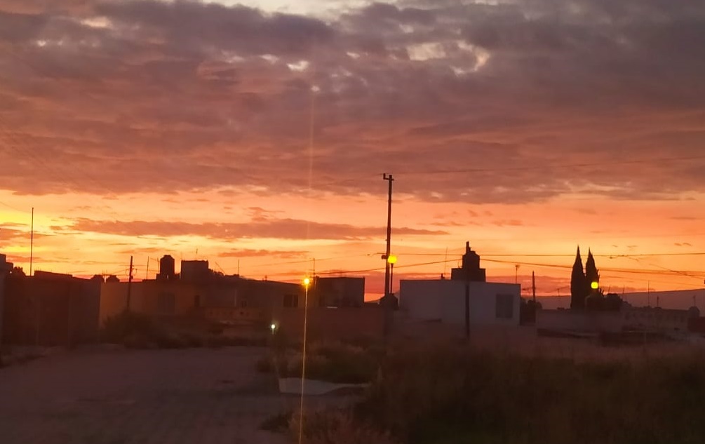 WhatsApp Image 2022-07-18 at 11.20.52 AM