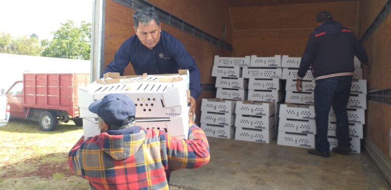 Entrega SIA los primeros 660 paquetes de especies menores en 11 municipios