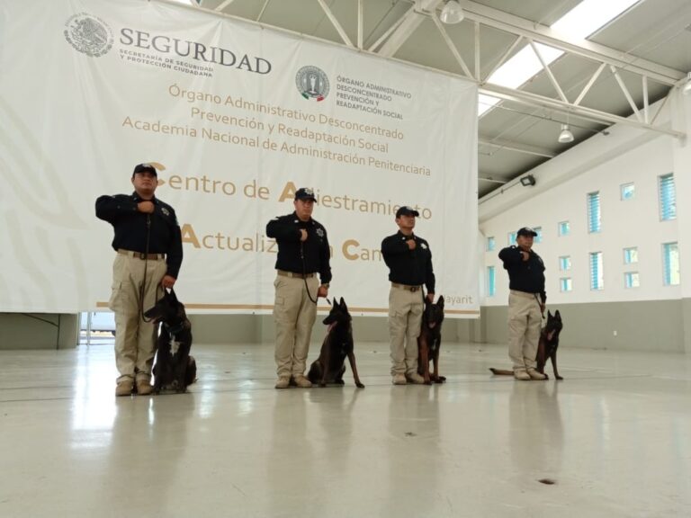 Obtienen binomios caninos certificación para detectar fentanilo