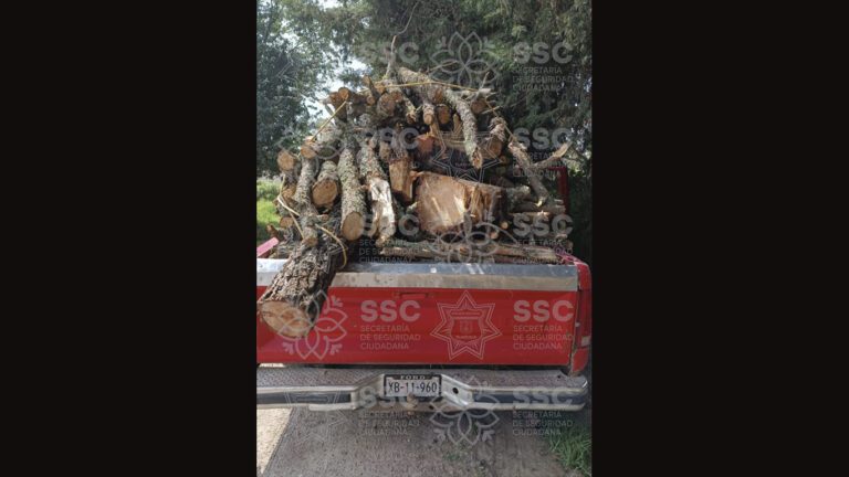 Asegura SSC material forestal en San José Teacalco