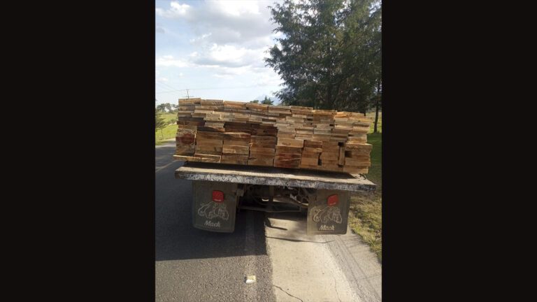 Inicia PGJE investigación por encubrimiento al transportar madera ilícita