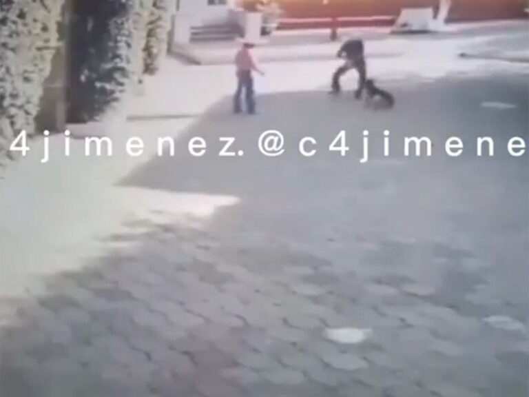 Sujetos dan brutal golpiza a perrito en Lienzo Charro La Villa