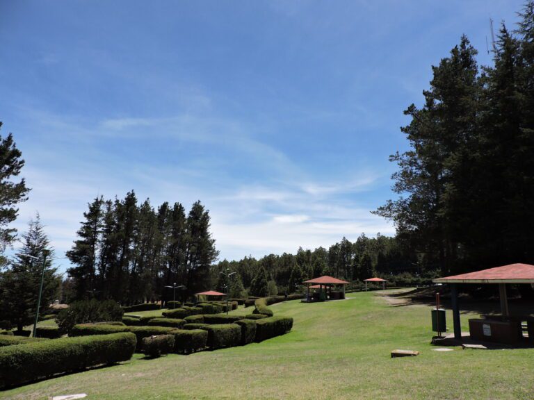Vive mes de la Patria en Centros Vacacionales “La Trinidad” y “Malintzi”: IMSS Tlaxcala