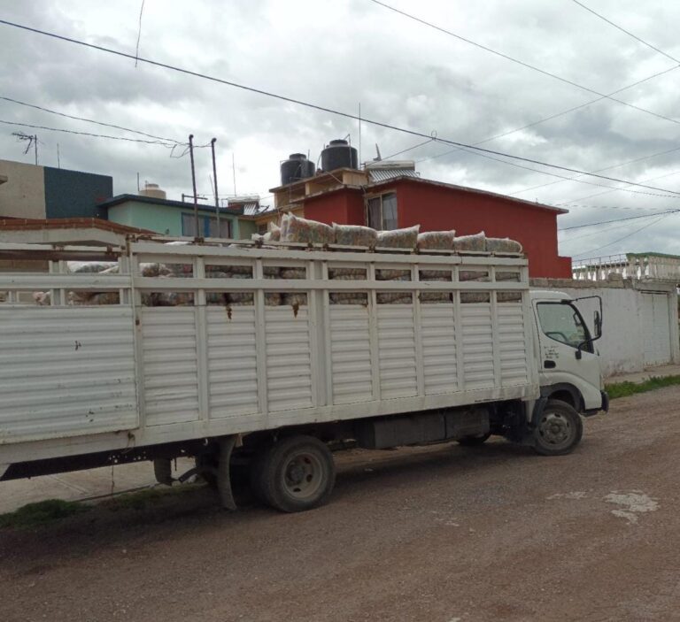 PGJE recupera 712 paquetes de plástico con pinzas para ropa