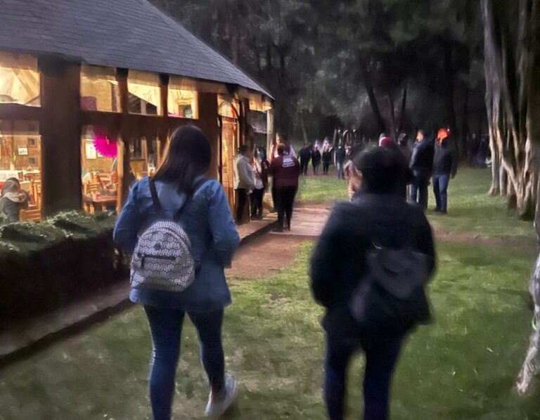 Sin Incidentes, Finalizó Temporada de Avistamiento de Luciérnagas Tlaxcala 2022