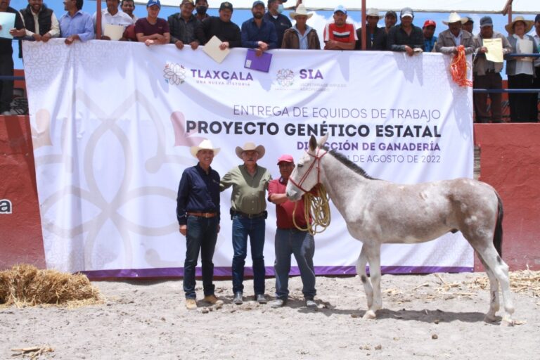 Entrega Gobierno del Estado équidos de trabajo para el campo