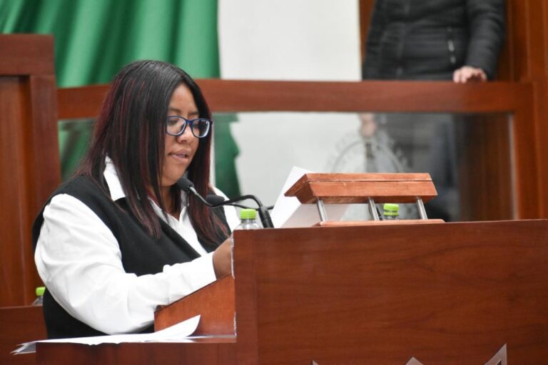 Busca Brenda Cecilia Villantes aplicación de Protocolo Nacional para protección sobre maltrato infantil