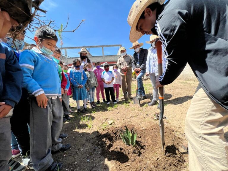 Gestiona Diputada Leticia Martínez mil 500 árboles para escuelas de Atltzayanca