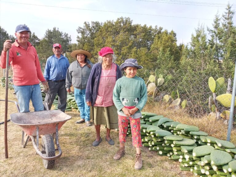 Presenta SIA Tres Convocatorias en el Marco del Día del Nopal y la Tuna