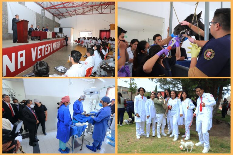 Celebró UATx 38 años del programa académico de Veterinaria