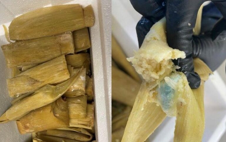 Decomisan tamales rellenos de fentanilo; equivalen a 800 mil pesos