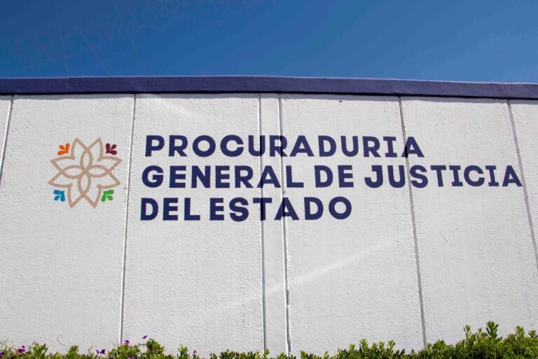 En Fase de investigación complementaria, caso de Pedro N.