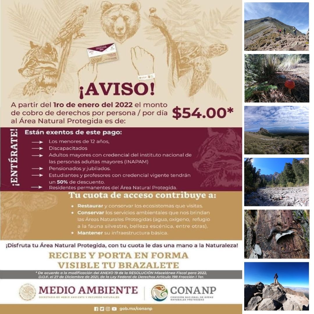 WhatsApp Image 2022-11-21 at 2.51.16 PM