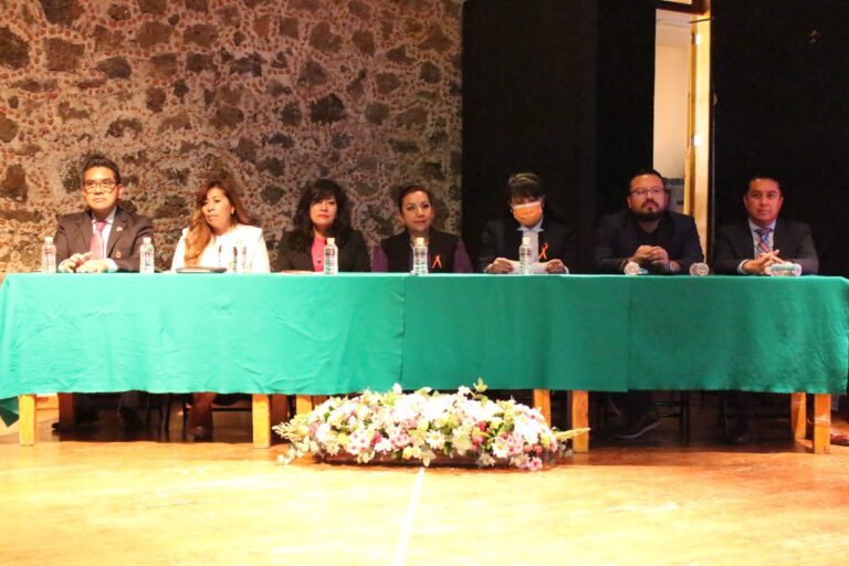 Para evitar revictimización de mujeres, IAIP pide reforzar protección de datos personales de víctimas de violencia