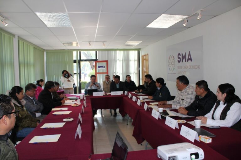 Avanza SMA en materia forestal para el año 2023