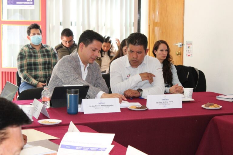 Protegió SMA más de 2 mil 500 hectáreas de la plaga del insecto descortezador