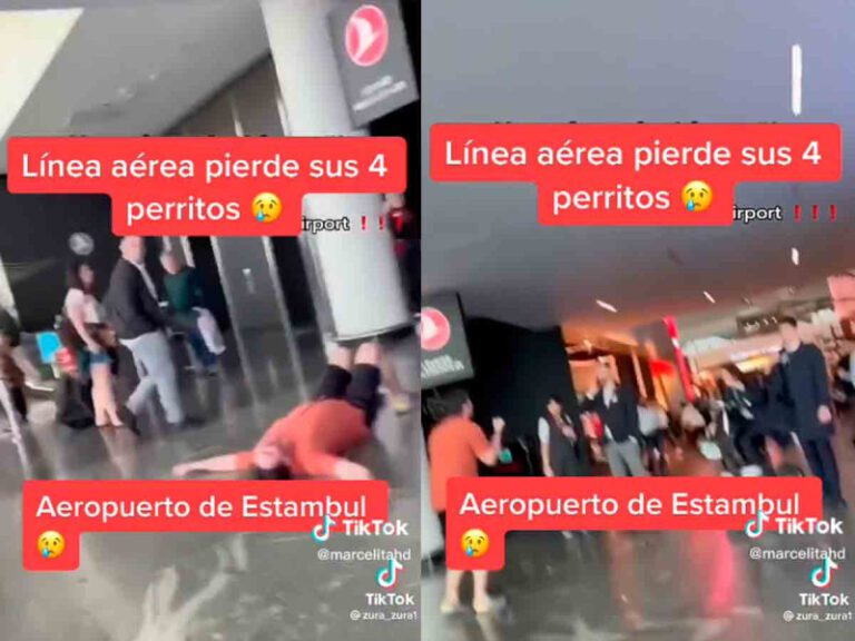Hombre colapsa al enterarse que la aerolínea perdió a sus 4 perritos