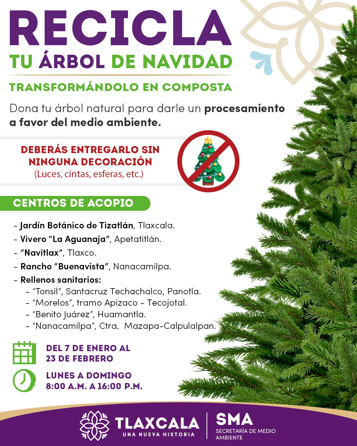 Recicla-tu-árbol—2023