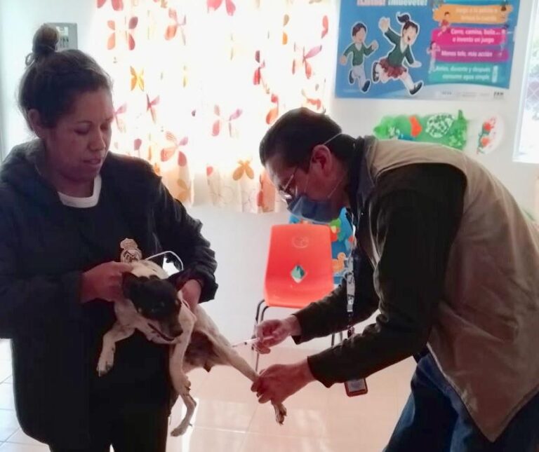 Otorga Sector Salud de Tlaxcala Vacuna Antirrábica Para Perros y Gatos