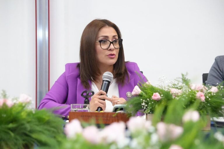 Diputada Reyna Flor Báez cuestiona la coordinación SESA-municipios sobre la red estatal de ambulancias   