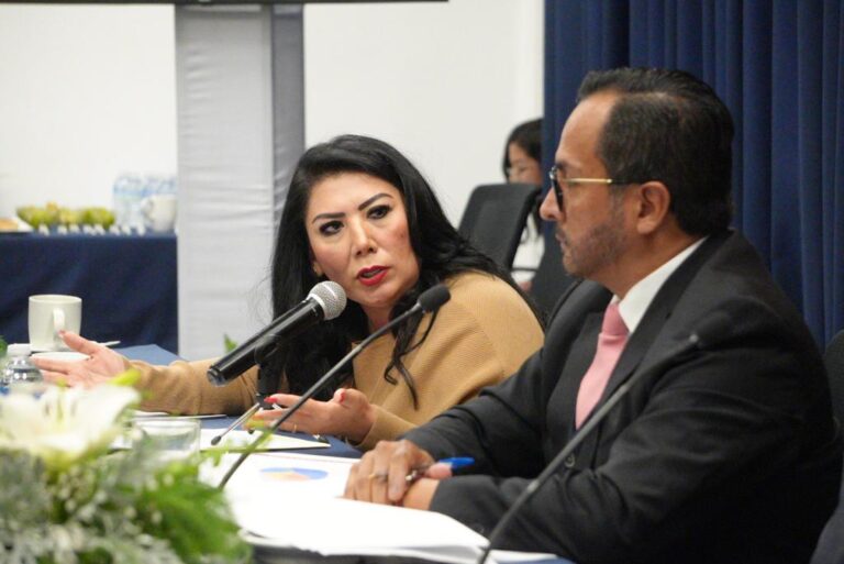 Se debe garantizar la profesionalización policial: diputada Alejandra Ramírez Ortiz