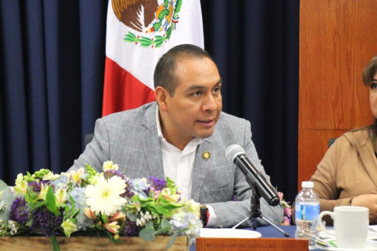 Importante atender el fenómeno de la obesidad infantil: diputado Miguel Ángel Caballero Yonca