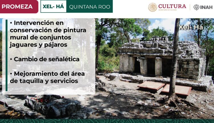 Presentación (2)