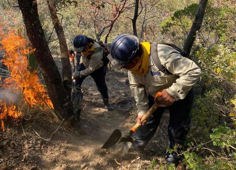 Incendio Forestal en Tlaxco, Controlado en un 85%: SMA