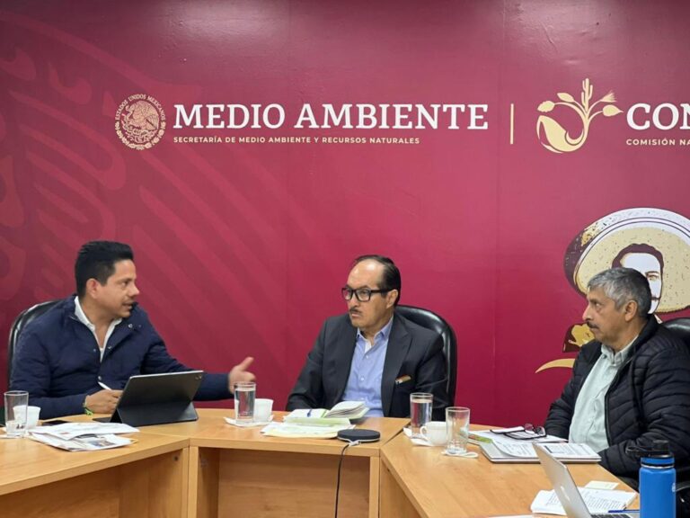 Presentan SMA y Conafor mecanismos de atención a la plaga del insecto descortezador en La Malinche