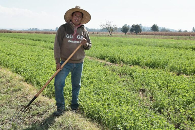Abre SIA convocatorias para proyectos agrícolas