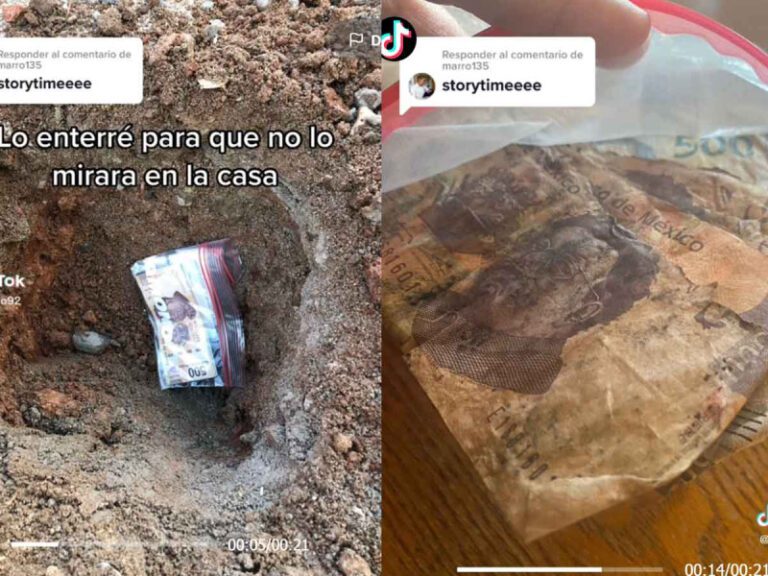 Joven ahorra para comprar celular, entierra el dinero y se le pudre
