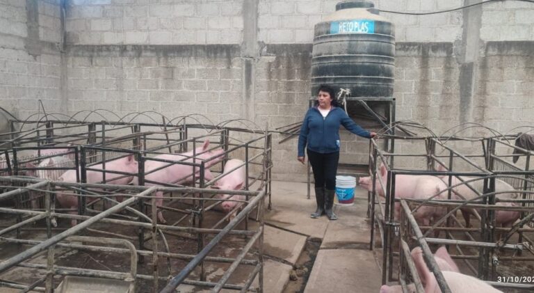 Abre SIA Convocatorias Para Población Ganadera del Estado