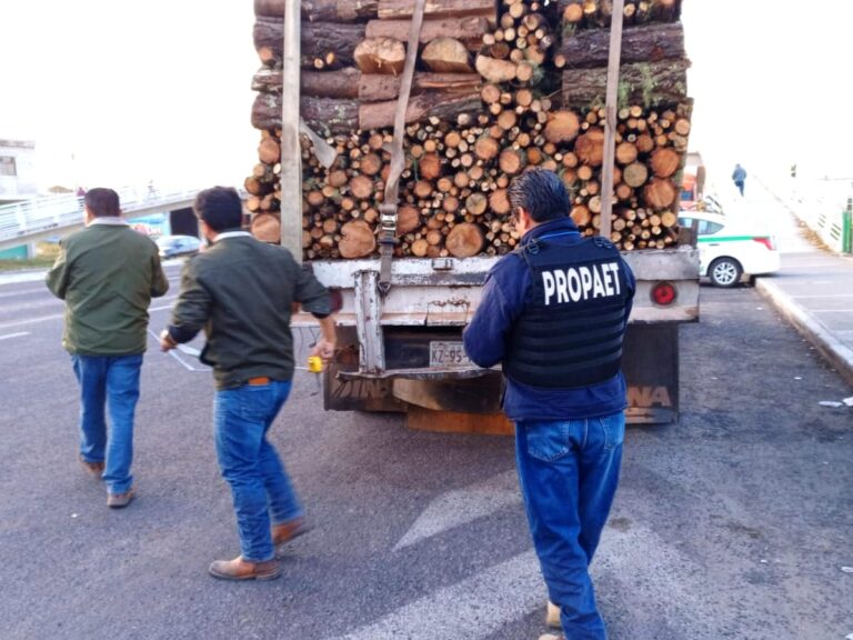 Tlaxcala Avanza en Combate Contra la Tala Clandestina